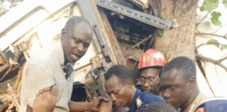 Driver trapped after truck crashes into tree at Sawla