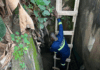 GNFS saves dog trapped in well at Amamorley