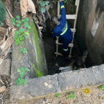 GNFS saves dog trapped in well at Amamorley