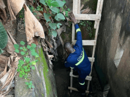 GNFS saves dog trapped in well at Amamorley