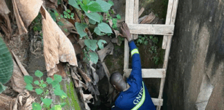 GNFS saves dog trapped in well at Amamorley