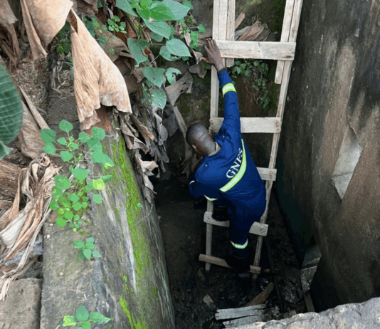 GNFS saves dog trapped in well at Amamorley