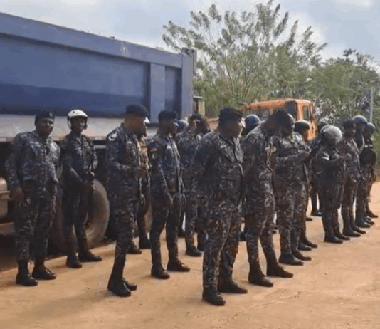 Police deploy nationwide security for NPP presidential primaries
