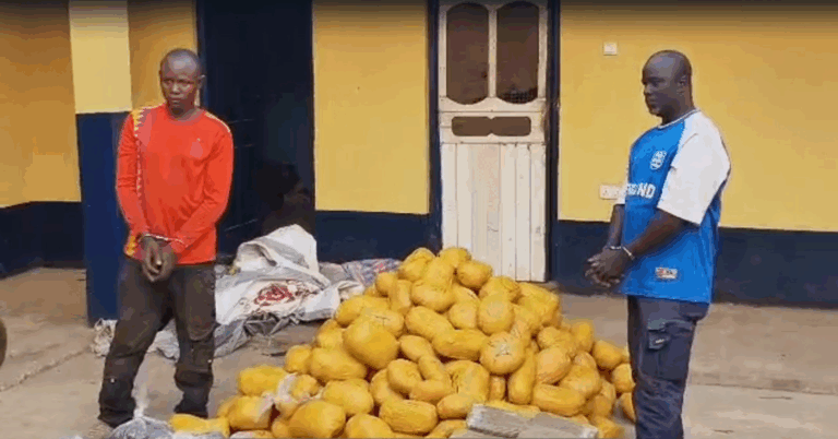 Driver and mate arrested with 396 parcels of suspected cannabis in Yeji