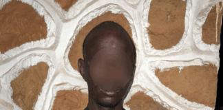 Police arrest key suspect in Wapuli kidnapping case