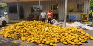 Police intercept truck carrying over 3,000 slabs of suspected Narcotics; two arrested for bribery