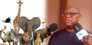 Government to curb raw timber and wildlife exports, promote ecotourism