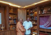 Bawumia pays courtesy call on Akufo-Addo after election as NPP flagbearer