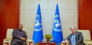 Mahama meets UN Secretary-General, discusses African security and democracy