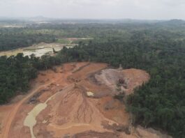 Breathing death: Health experts warn of looming crisis as toxic air in illegal mining kills and sickens miners