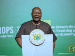 Mahama advocates for smart local content policies at Takoradi Summit