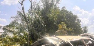 One dead, 16 injured in accident on Peki Tsame road