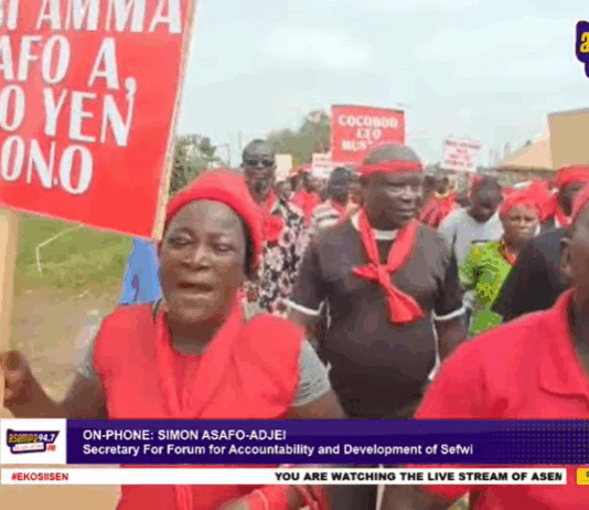 Protest is not petty politicking – Cocoa farmers urge government to heed their demands