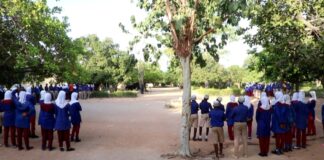 From windstorm to resilience: How Wa school is growing climate protection