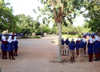 From windstorm to resilience: How Wa school is growing climate protection