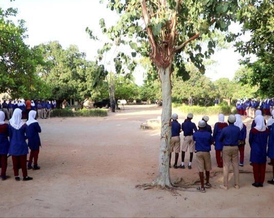 From windstorm to resilience: How Wa school is growing climate protection