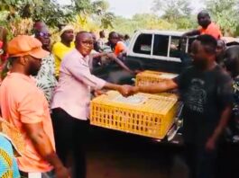 Asunafo North Assembly distributes 10,000 birds under Nkoko Nkitinkiti initiative