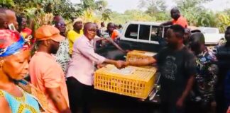 Asunafo North Assembly distributes 10,000 birds under Nkoko Nkitinkiti initiative