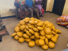 Police seize over 200 suspected narcotics parcels; five arrested