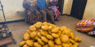 Police seize over 200 suspected narcotics parcels; five arrested