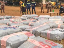 Police intercept truck carrying over 7,000 parcels of suspected marijuana in Nkwanta South