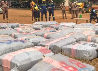 Police intercept truck carrying over 7,000 parcels of suspected marijuana in Nkwanta South