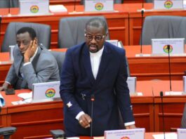 Akufo-Addo gov’t put over ¢138m into the Sinking Fund – Annoh-Dompreh