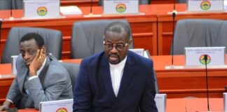 Akufo-Addo gov’t put over ¢138m into the Sinking Fund – Annoh-Dompreh