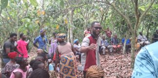 COCOBOD engages Sefwi Wiawso farmers over producer price concerns