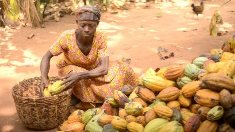 Mahama defends cocoa price revision as necessary to stabilise sector