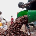 Ivory Coast cocoa