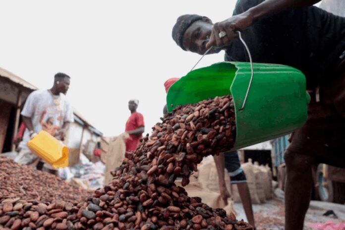 Ivory Coast cocoa