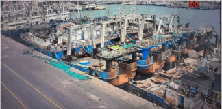 The impact of expanding fishing limits on local trawlers