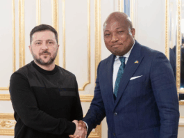 Ablakwa meets Ukraine President to push for release of Ghanaian prisoners of war