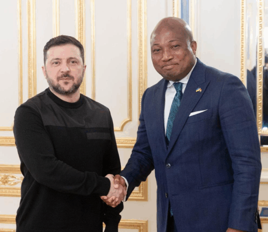 Ablakwa meets Ukraine President to push for release of Ghanaian prisoners of war