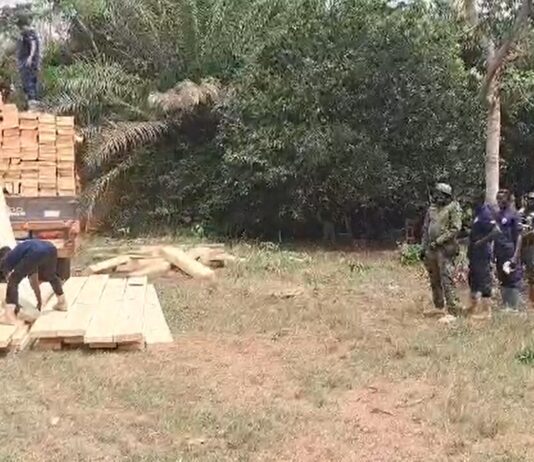 Birim North Police, Blue Water Guards arrest illegal chainsaw operators in dawn raid