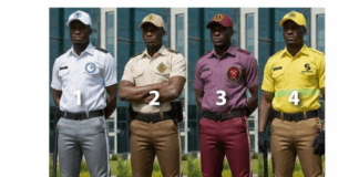 Police outline approved uniforms for private security operators