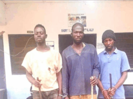 Three convicted over illegal firearms and ammunition possession in Wa