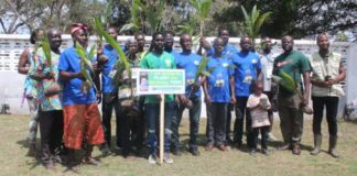 Leverage technology to strengthen Green Economy – GAfTiNC urges