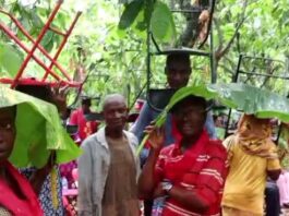 Offinso North Cocoa farmers brave heavy rains to petition Minority Caucus over cocoa crisis