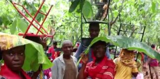 Offinso North Cocoa farmers brave heavy rains to petition Minority Caucus over cocoa crisis