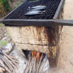 Older mangrove woods for smoking fish contain high levels of cancer-causing agents – KNUST study