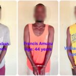 Three arrested over alleged mob killing of 26-year-old Liberian at Lashibi