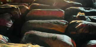 NACOC takes custody of 37 sacks of suspected cannabis seized by Ghana Navy