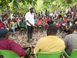Even if it takes years, we’ll fight for what is due you – Oppong Nkrumah to cocoa farmers