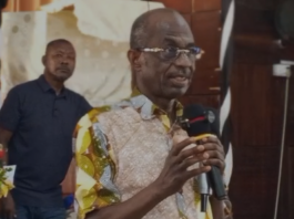 Asiedu Nketia urges farmers, industry to address tomato glut in Ghana