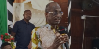 Asiedu Nketia urges farmers, industry to address tomato glut in Ghana