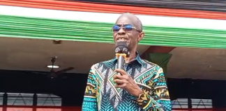 Asiedu Nketia urges NDC members to retain hardworking executives in internal elections