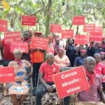 Mankranso cocoa farmers demand reversal of producer price to GH₵3,100