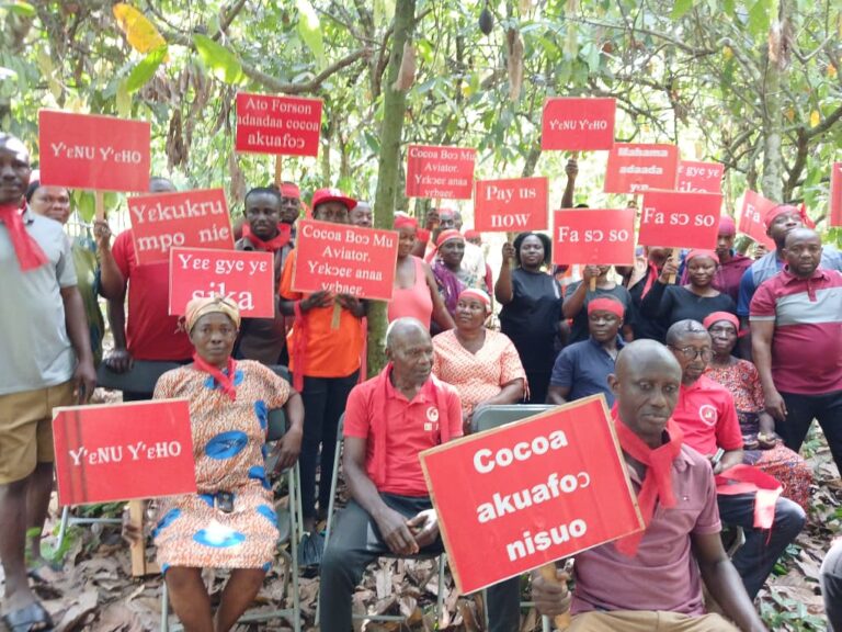 Mankranso cocoa farmers demand reversal of producer price to GH₵3,100